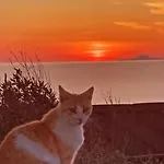 Sunset House Pothitou Willa