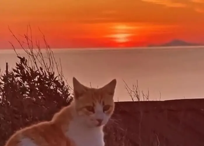 Sunset House Pothitou Willa